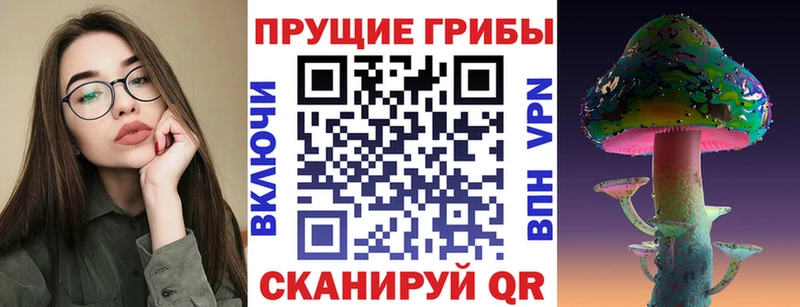 Псилоцибиновые грибы Psilocybine cubensis  Купить закладки  Искитим 